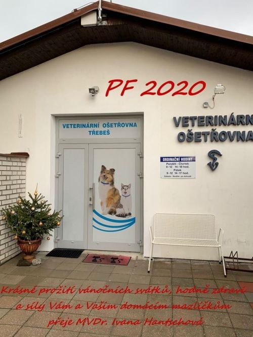 pf-2020-veterina---500px.jpg